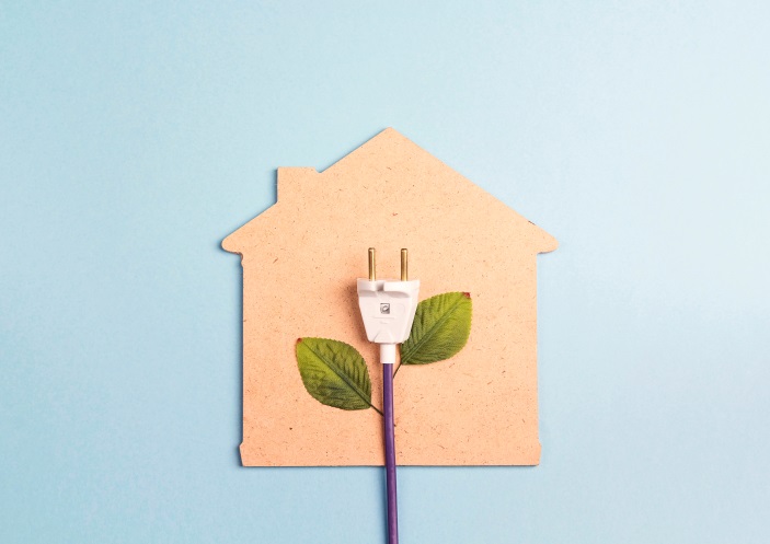 Economisire de energie